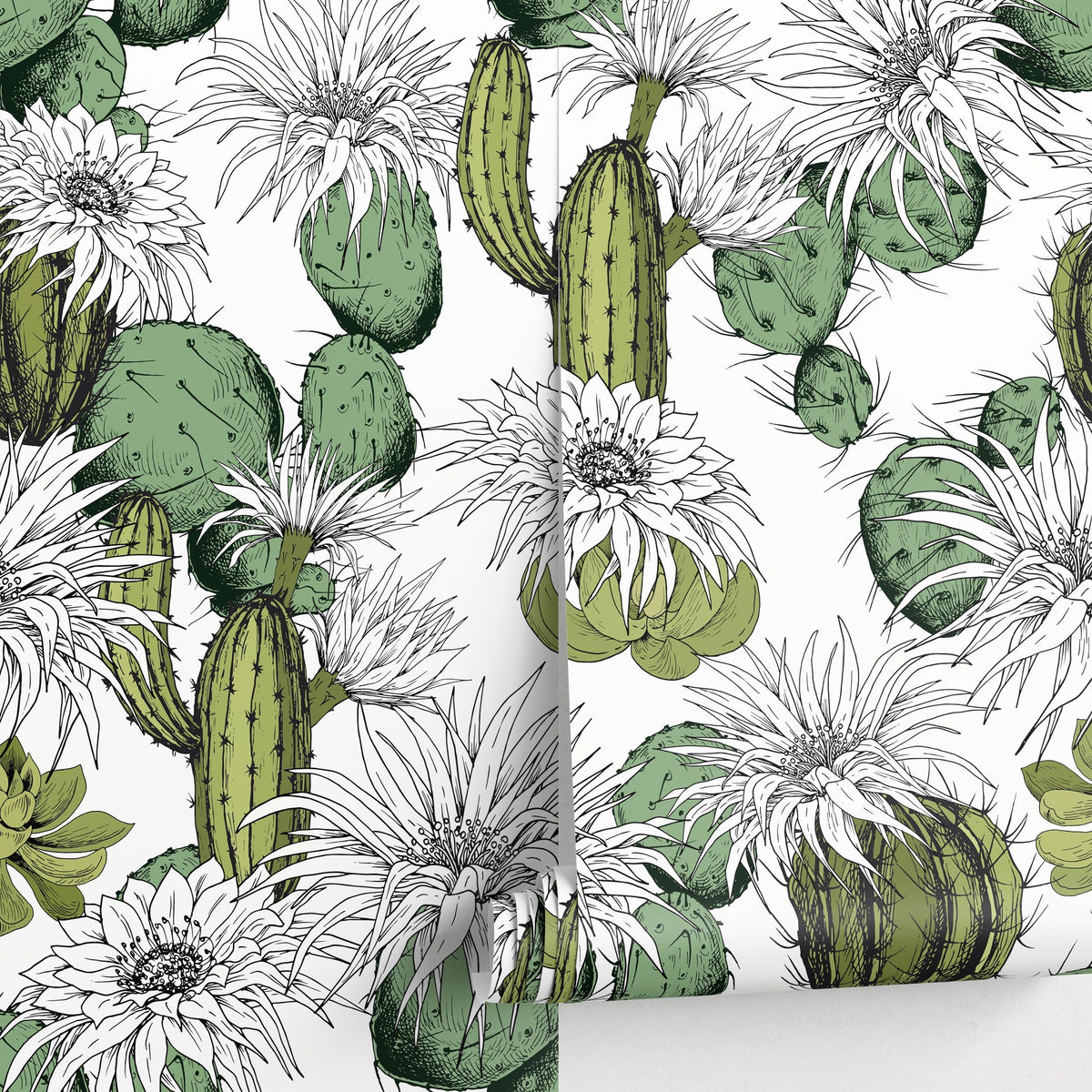 Floral Cactus Wallpaper Removable Wallpaper Peel and Stick Wallpaper Wall Paper Wall Mural - Tropical Wallpaper - A753
