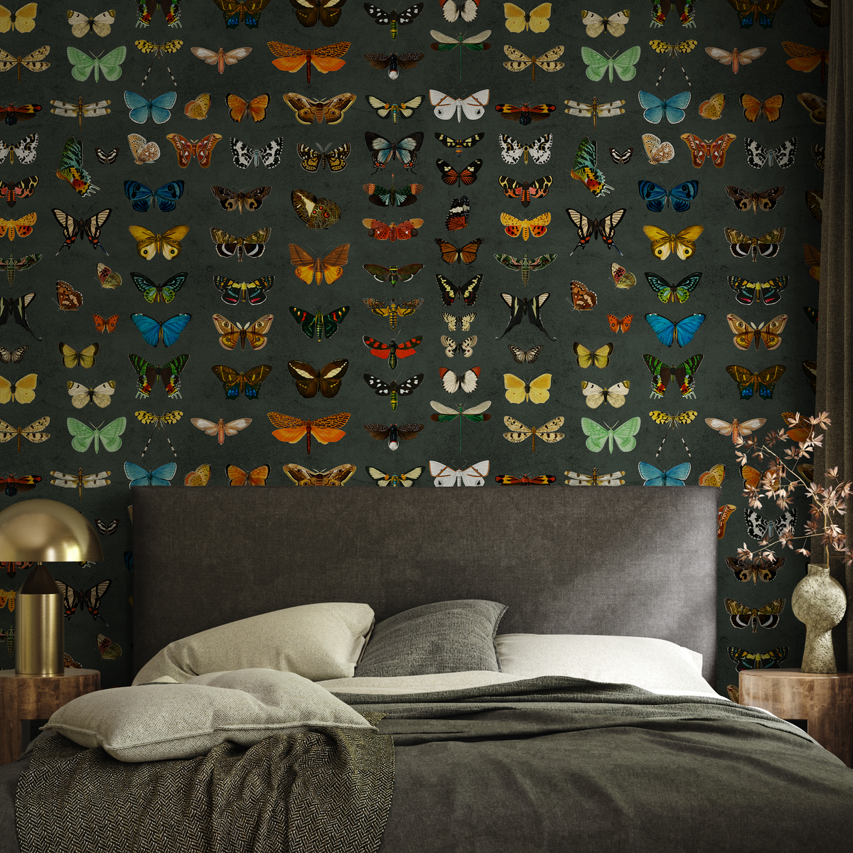 Green Butterfly Wallpaper