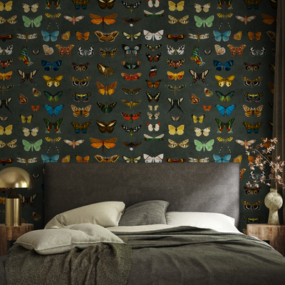 Green Butterfly Wallpaper