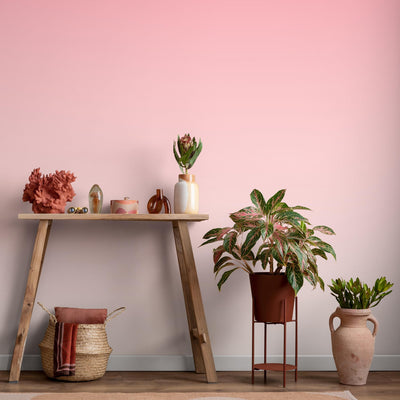 Pink Ombre Peel And Stick Wallpaper