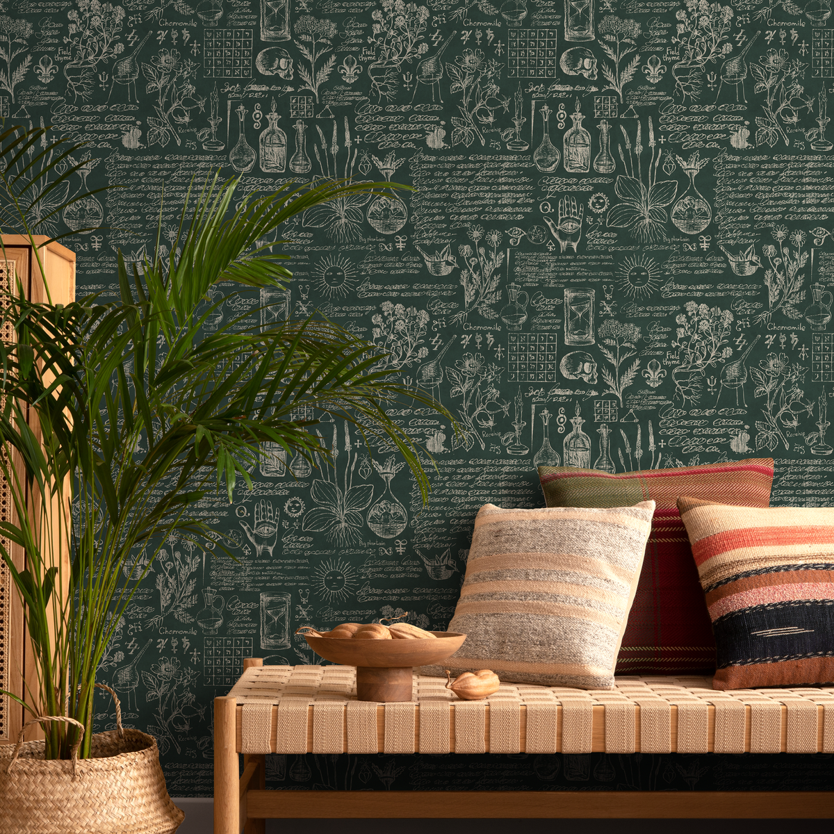 E578 - All Channels Image 4