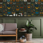 E103 B - All Channels Image 1