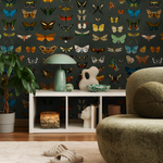 E103 B - All Channels Image 3