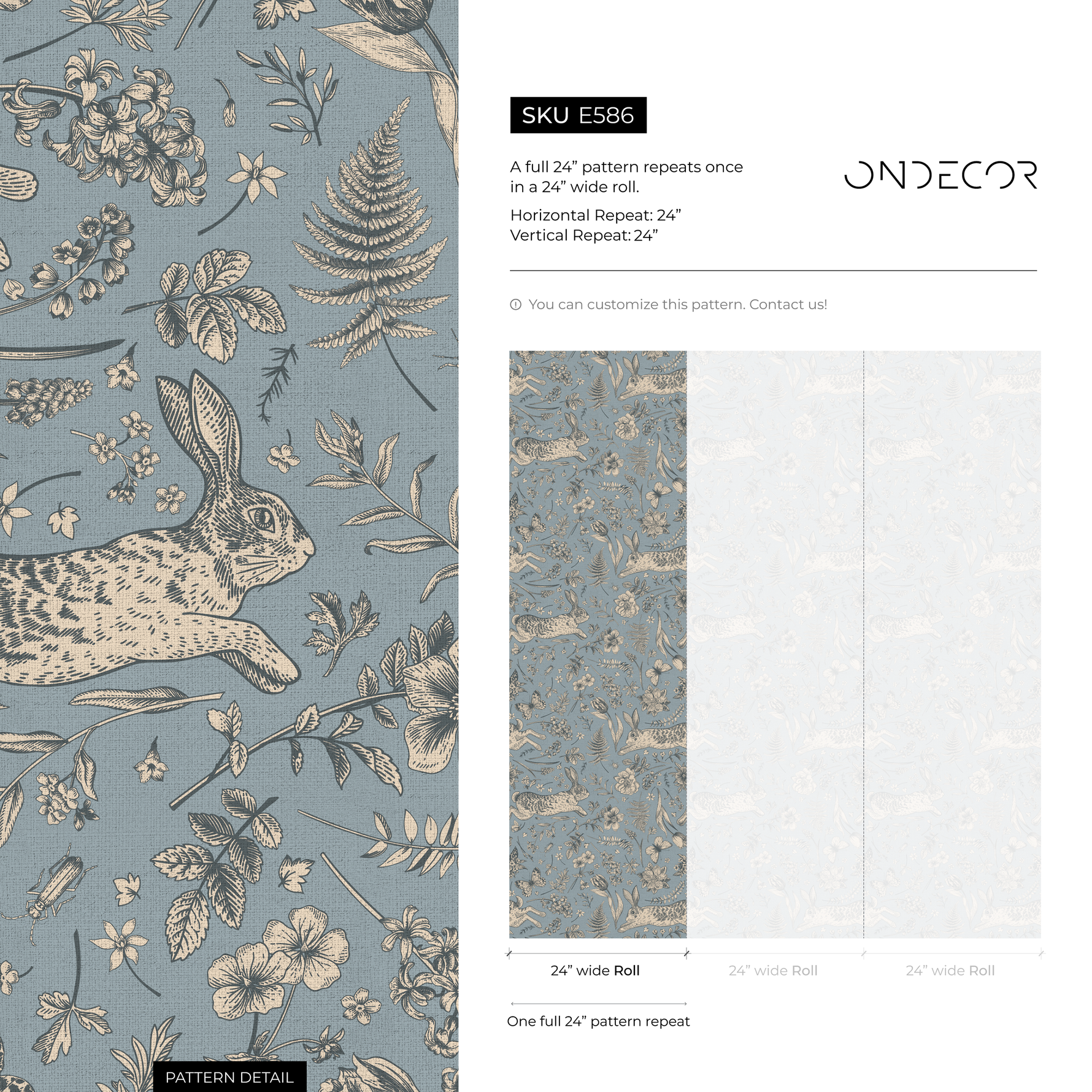 E586 - All Channels Image 5