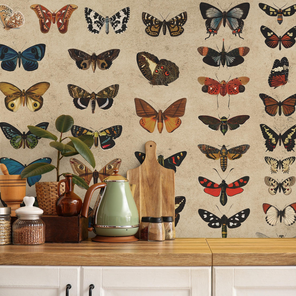 Vintage butterfly peel and stick wallpaper, wallpaper, small animal wallpaper, botanical animal wallpaper, removable wallpaper - E103 A