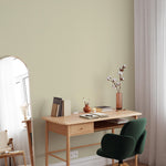 Limestone Wash Wallpaper / Solid Color with a Subtle Textured Effect in Pale Sage Green - E232