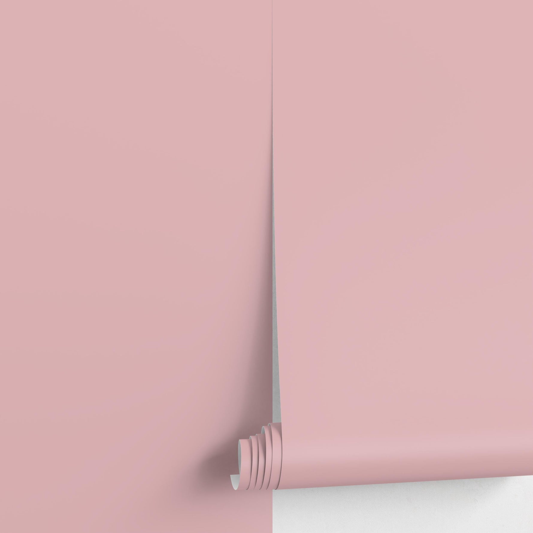 Petal Dust Wallpaper / Solid Color / A Minimalist Wall Covering in Dusty Rose Pink - E160