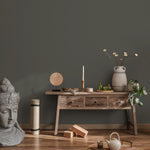 Charcoal Moss Wallpaper / Solid Color / Moody Minimalist Design in a Dark Greenish Gray - E205