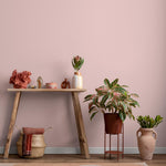 Pale Rose Wallpaper / Solid Color Peel and Stick for a Modern Minimalist Accent Wall in Dusty Pink - E211