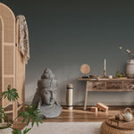 Ombre Wallpaper with a Dark to Light Fade in Charcoal and Gray - E265