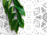 Removable Wallpaper Temporary Wallpaper Vintage Wallpaper Peel and Stick Wallpaper Wall Paper - X100