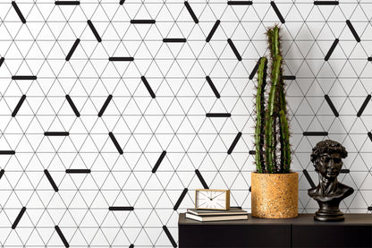 Minimalist Black and White Wallpaper Modern Wallpaper Peel and Stick and Traditional Wallpaper - CC - B083