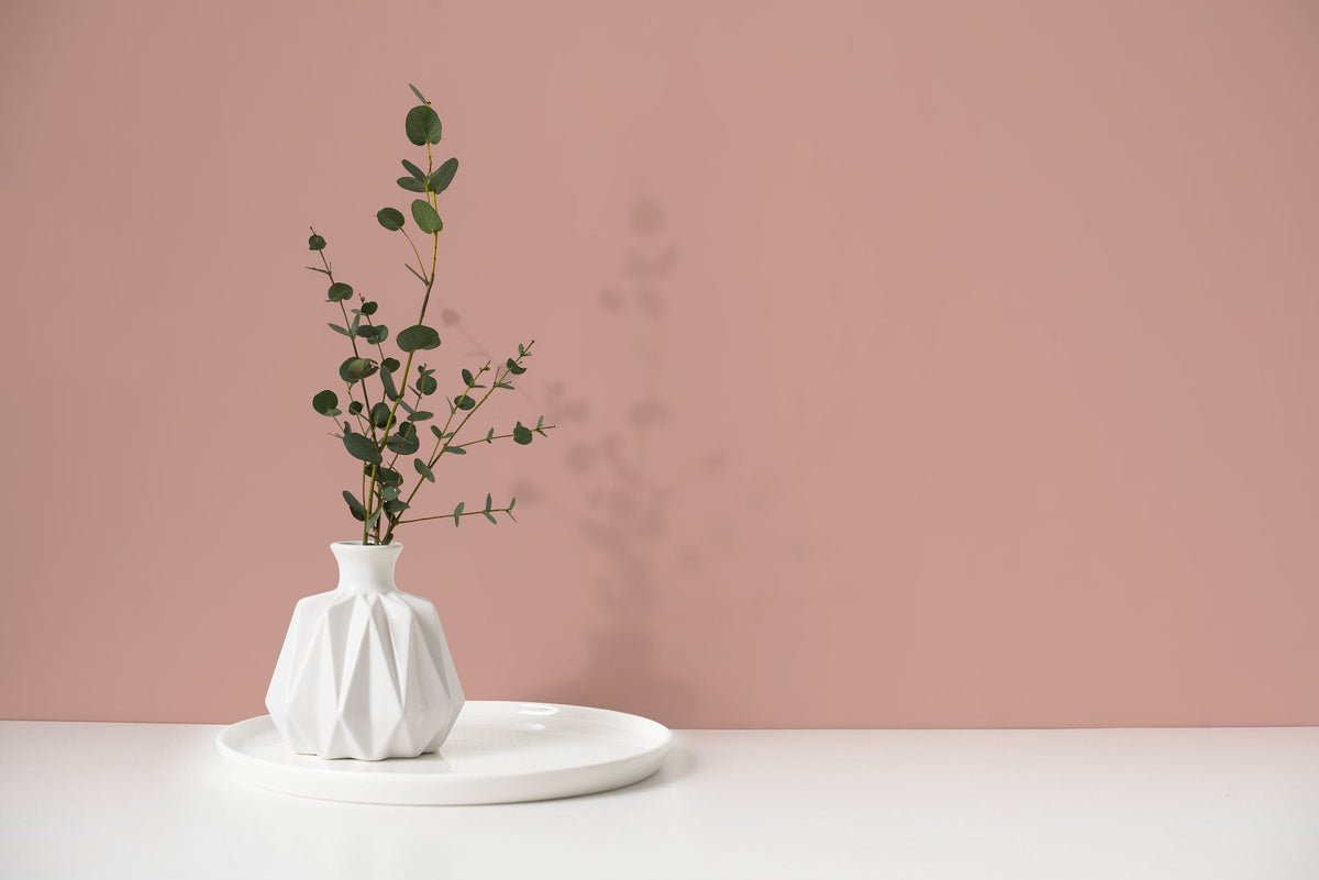Blush Pink Wallpaper / Solid Color / Peel and Stick Wallpaper Removable Wallpaper Home Decor Wall Art Wall Decor Room Decor - D453