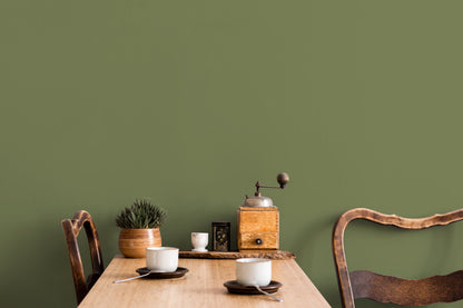 Sage Green Wallpaper / Solid Color / Peel and Stick Wallpaper Removable Wallpaper Home Decor Wall Art Wall Decor Room Decor - D474