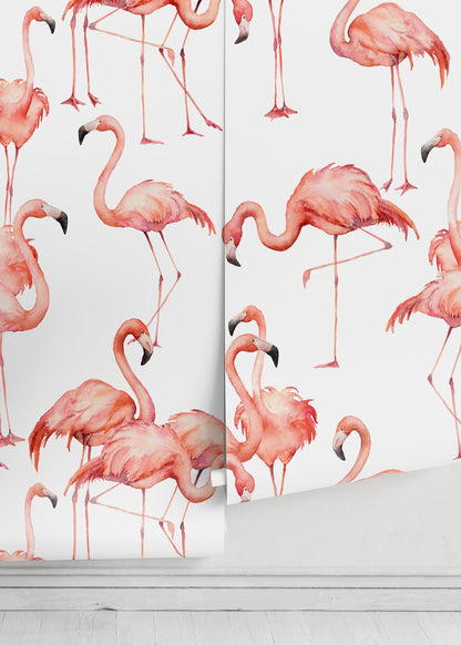 Watercolor Flamingos Wallpaper - Removable Wallpaper Peel and Stick Wallpaper Wall Paper Wall - B323