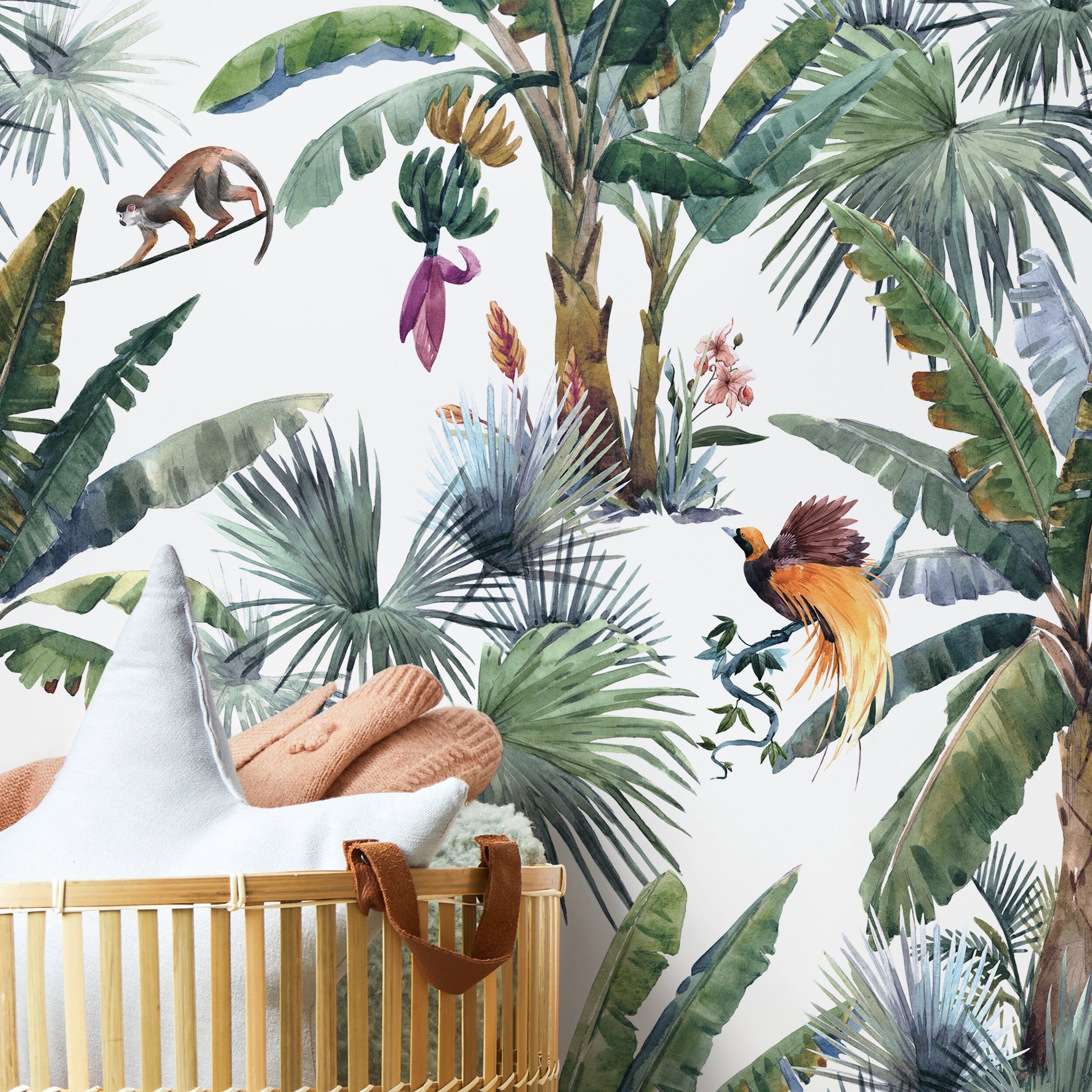 Tropical Jungle Wallpaper Botanical Wallpaper Peel and Stick and Traditional Wallpaper - D645