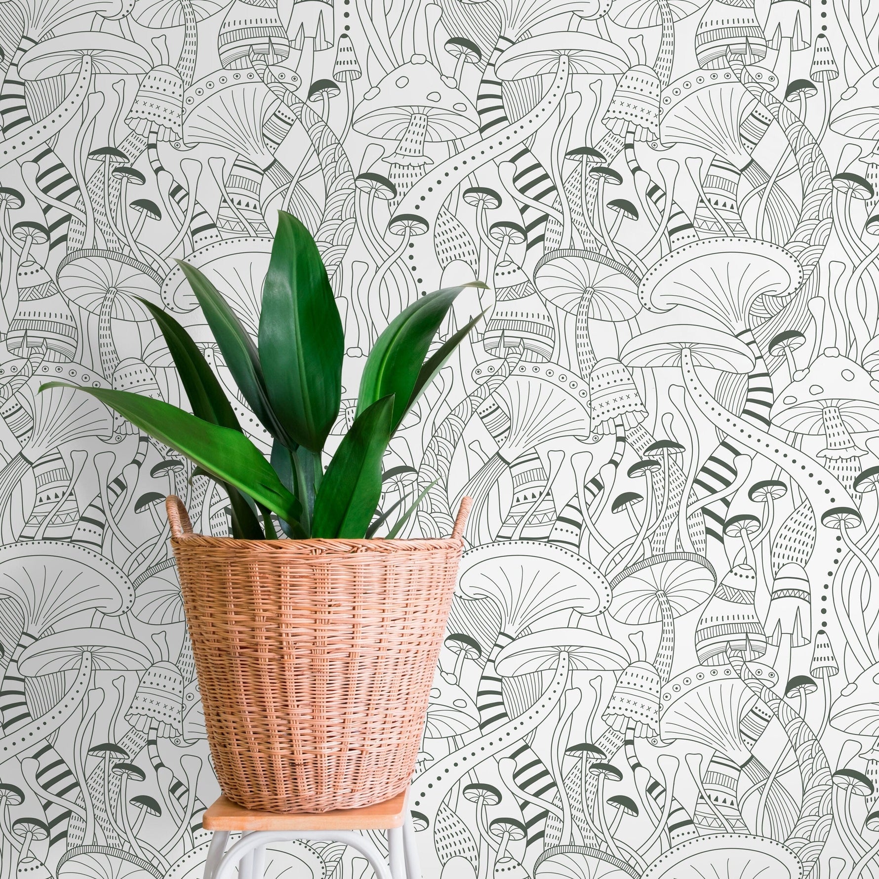 Green Mushroom Wallpaper Modern Peel and Stick and Traditional Wallpaper - D812