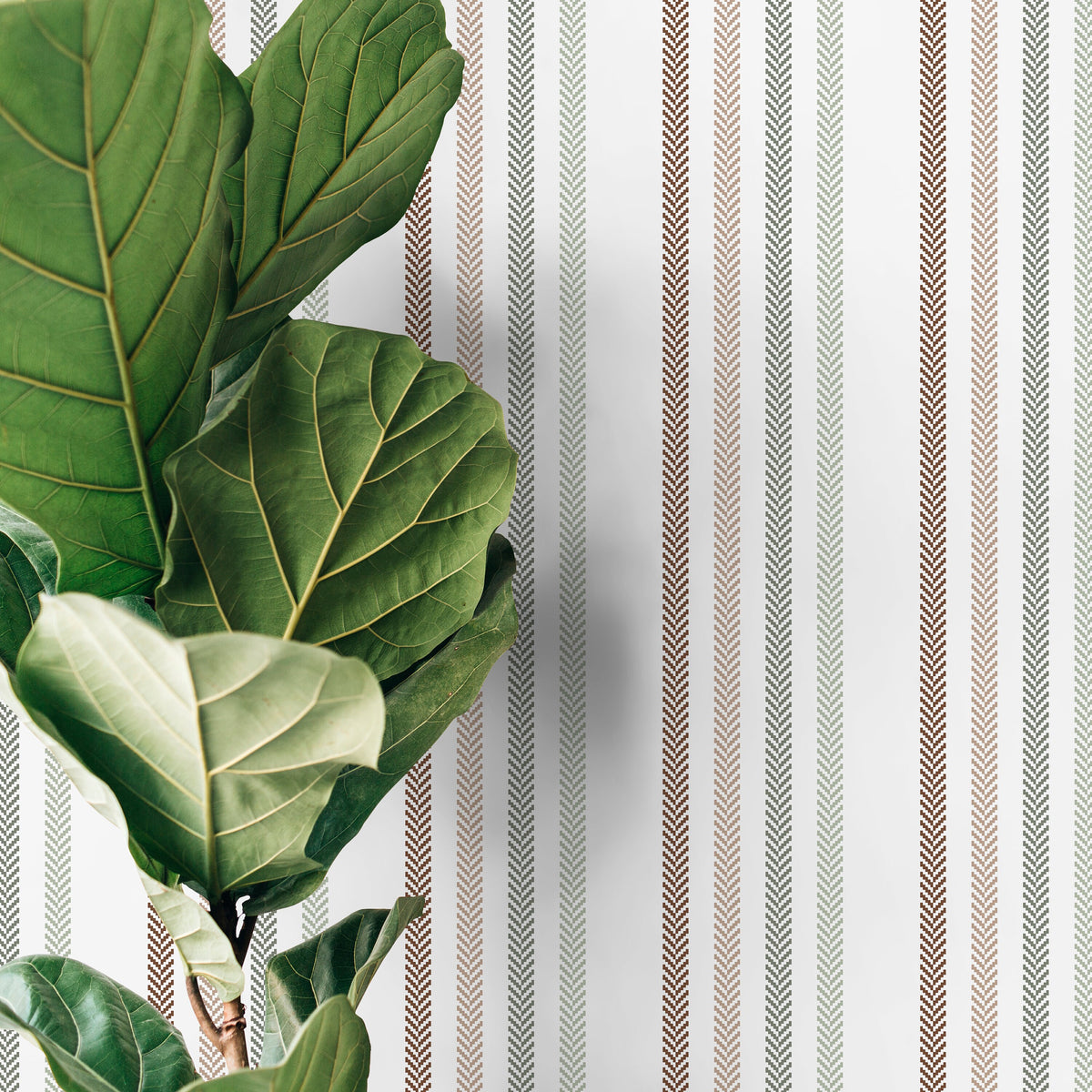 Boho Striped Wallpaper Farmhouse Wallpaper Peel and Stick and Traditional Wallpaper - D779
