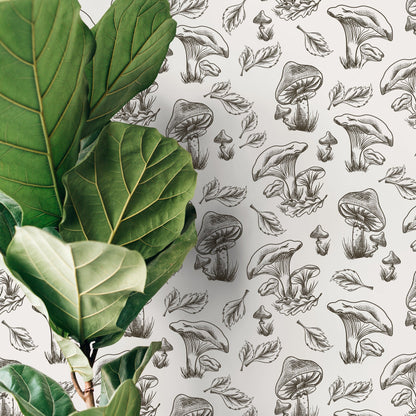 Leaf and Mushroom Wallpaper Hand drawing Wallpaper Peel and Stick and Traditional Wallpaper - D819