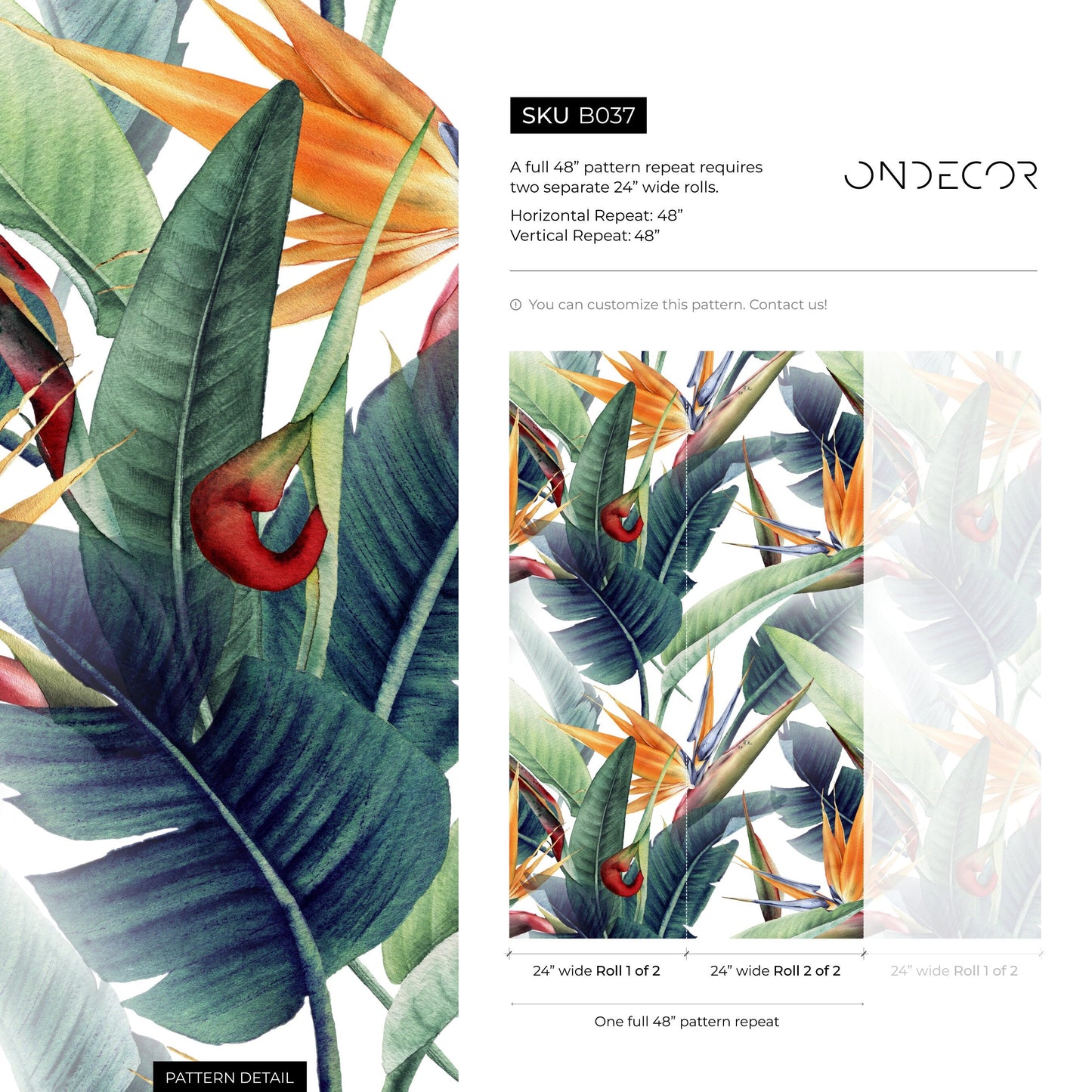 Tropical Floral Bird of Paradise Wallpaper Peel and Stick and Traditional Wallpaper - B037